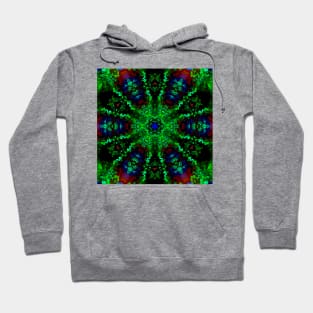 Psychedelic Hippie Green Red and Blue Hoodie